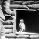 Illustration for article titled These Are the Brave and Fluffy Cats Who Served in World War I